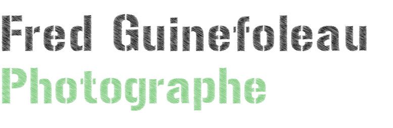 logo-fred-guinefoleau-photographe