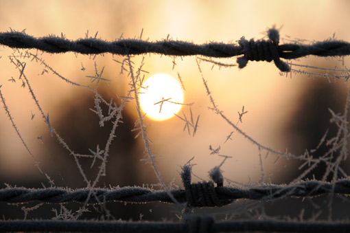 Chaleur hivernale